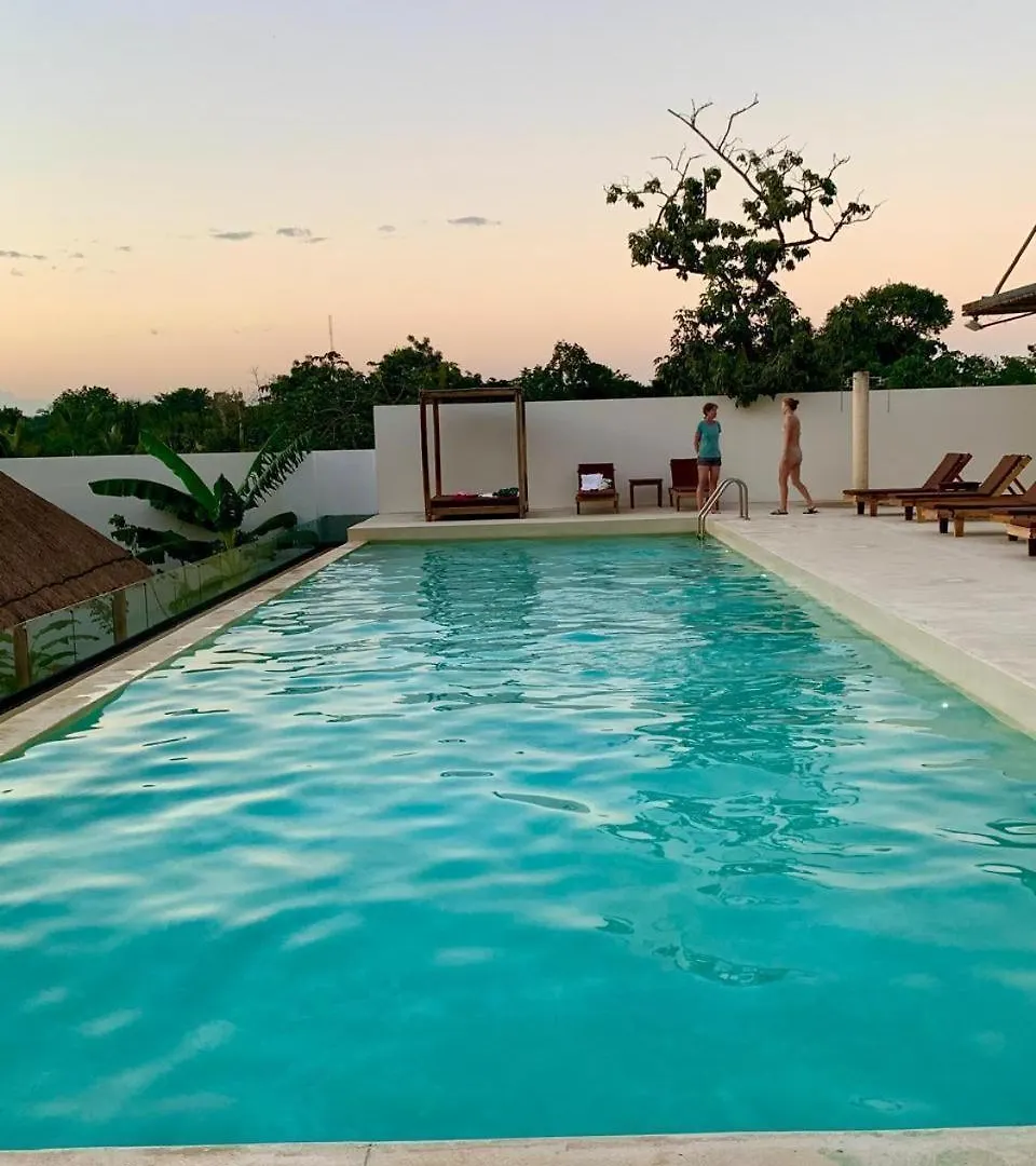 Designer Ph Studio Private Pool Tulum Mexico
